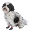 Bild 3 von Trixie Hundesocken - Grau