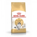 Royal Canin Feline Breed Norwegische Waldkatze