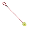 Bild 2 von Trixie Tennisball am Seil - 6 cm / 50 cm