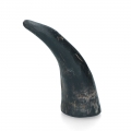 Bild 2 von Viking Whole Horn