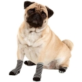 Bild 5 von Karlie Doggy Socks Hundesocken 4er Set - Schwarz/Grau  / (Variante) M