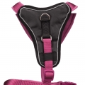 Bild 2 von Trixie Premium Y-Geschirr - orchidee  / (Variante) 33-42 cm/10 mm