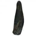 Bild 2 von Viking twist Horn  / (Variante) L