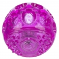 Trixie Blink-Ball aus TPR